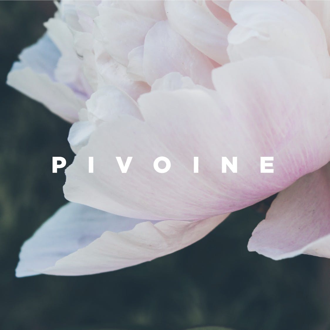 Oh my periods ! Soin pré-menstruel anti acné
