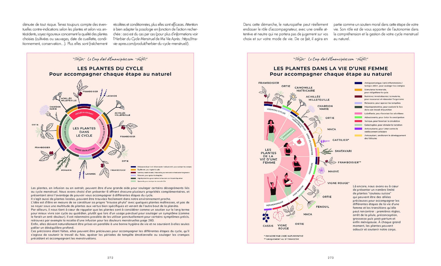 Cycle féminin et contraceptions naturelles - Audrey Guillemaud